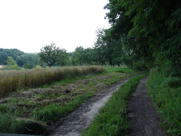 DSC00882